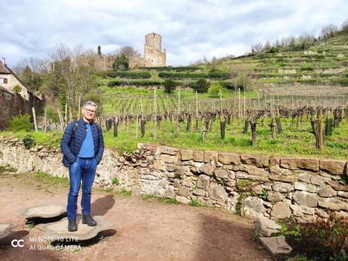 in den Weinbergen um Kaysersberg